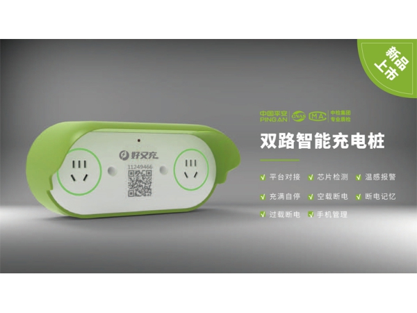 双路智能充电桩